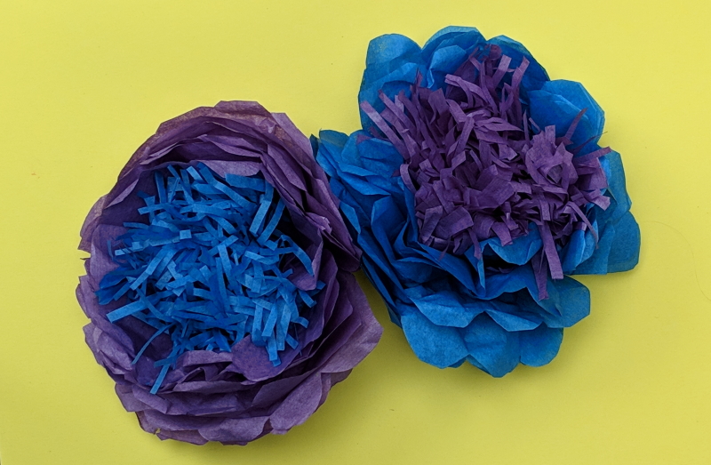 Two tissue paper flowers